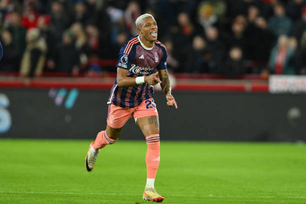 历史与意义 历史与意义